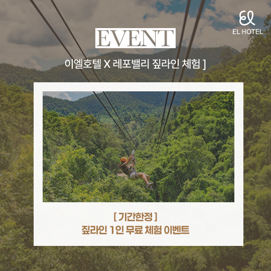 Zipline Experience for One